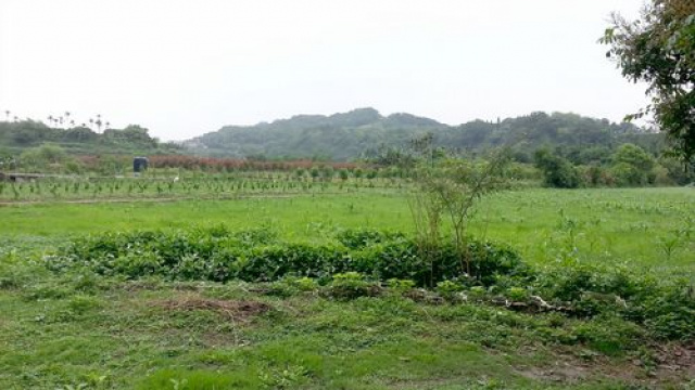 三灣漂亮農建地