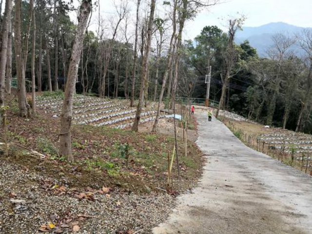 北埔景觀休閒露營地*-*新竹縣土地買賣介紹