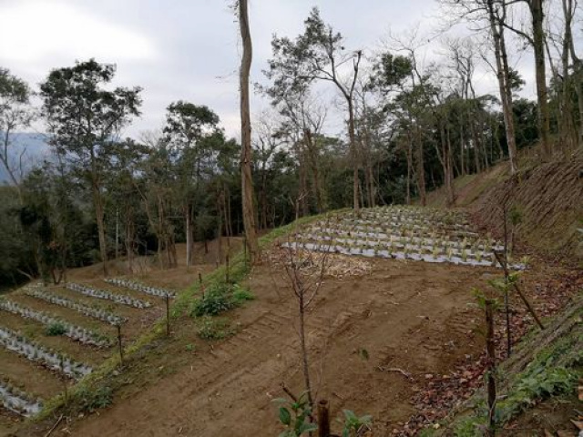 北埔景觀休閒露營地*-*新竹縣土地買賣介紹