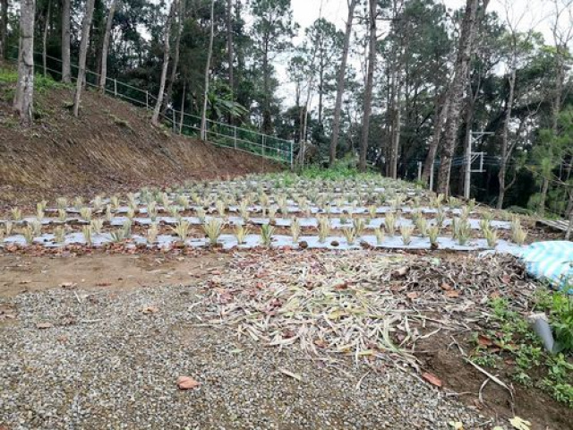 北埔景觀休閒露營地*-*新竹縣土地買賣介紹