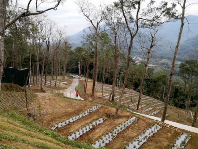 北埔景觀休閒露營地*-*新竹縣土地買賣介紹