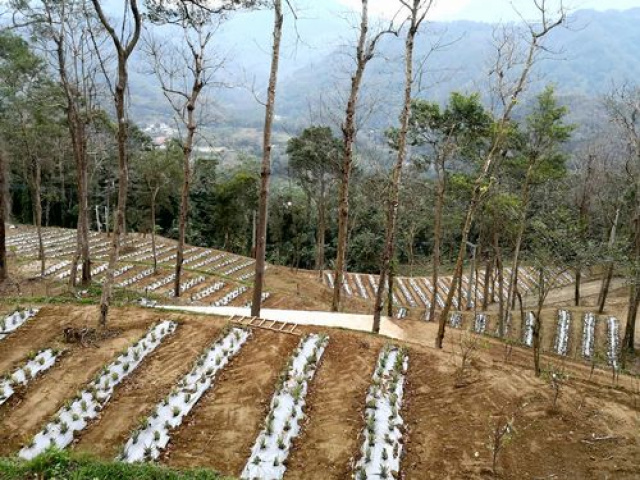 北埔景觀休閒露營地*-*新竹縣土地買賣介紹