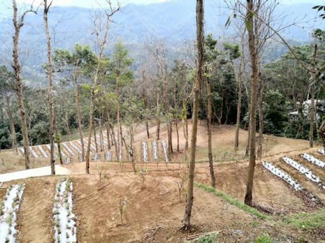 北埔景觀休閒露營地*-*新竹縣土地買賣介紹