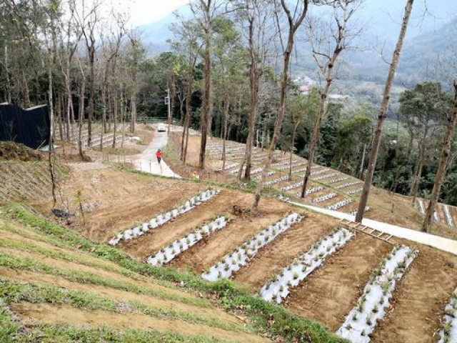 北埔景觀休閒露營地*-*新竹縣土地買賣介紹