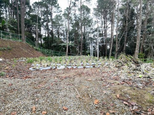 北埔景觀休閒露營地*-*新竹縣土地買賣介紹
