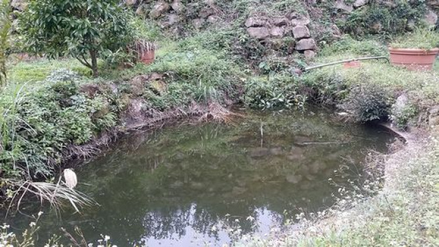南江休閒景觀農+建地*-*南庄農建地