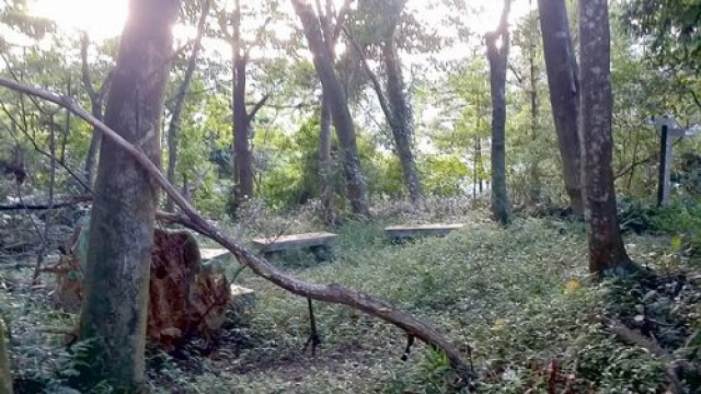 南庄休閒山坡地+4筆丙建