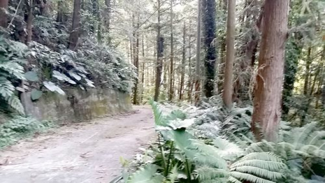 南庄休閒山坡地+4筆丙建