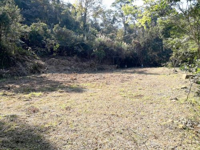 南庄休閒山坡地+4筆丙建