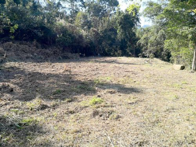 南庄休閒山坡地+4筆丙建
