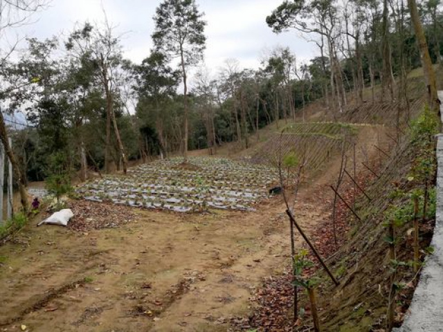 北埔景觀休閒露營地*-*新竹縣農地買賣