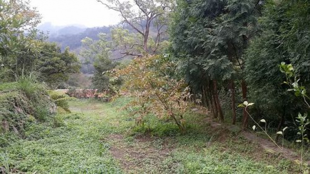 南江休閒景觀農+建地*-*南庄土地