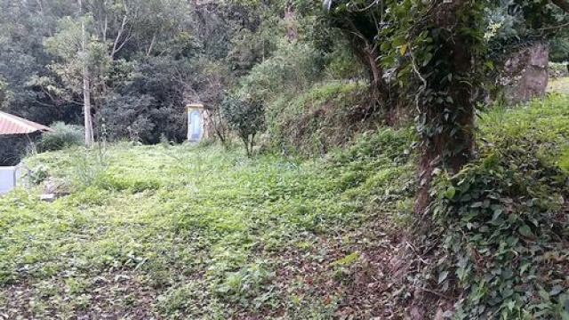 南江休閒景觀農+建地*-*南庄土地