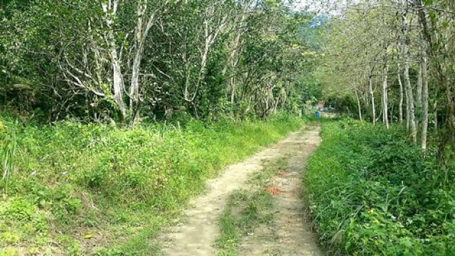 台三線幽靜休閒地*-*南庄土地