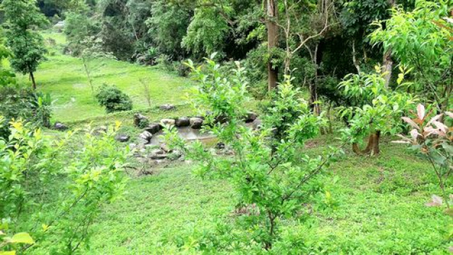 永和山漂亮休閒地*-*三灣土地買賣