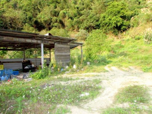 大河底便宜農牧用地*-*三灣超便宜山坡地