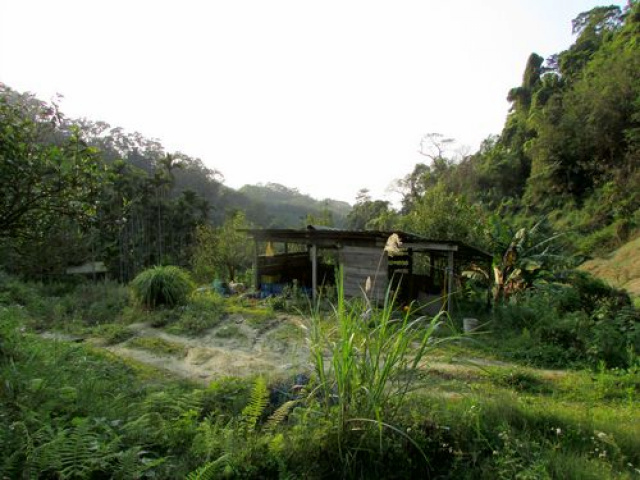 大河底便宜農牧用地*-*三灣超便宜山坡地