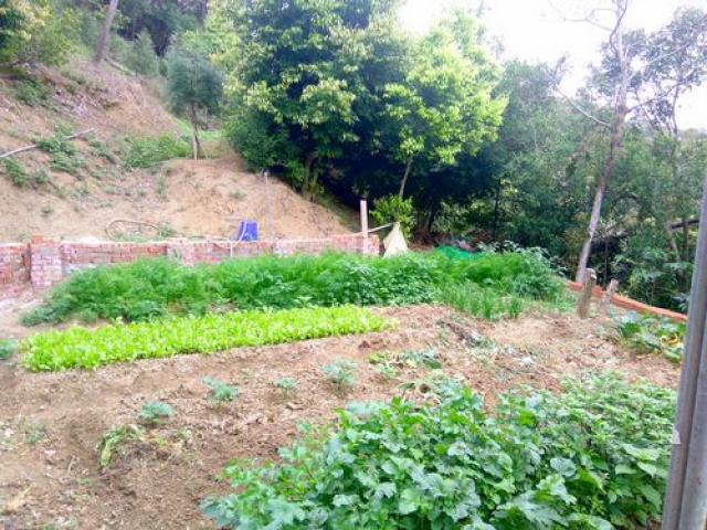 青山綠地休閒地B*-*苗栗頭份休閒地