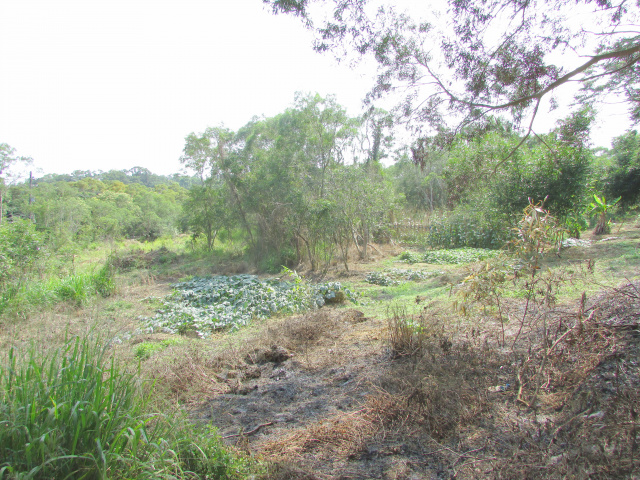 新竹縣寶山臨湖(特定目的事業用地)+農牧用地