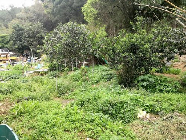 造橋休閒地*-*造橋土地房屋專業介紹