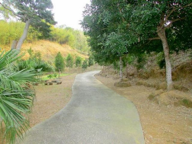 三灣山城景觀有機休閒露營美地*-*視野一級棒