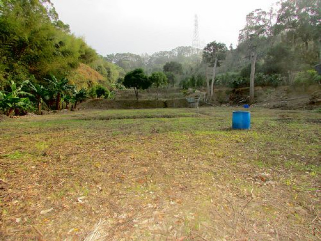 三灣山城景觀有機休閒露營美地*-*視野一級棒