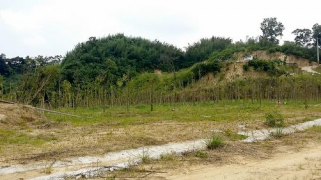 三灣沉香木休閒山坡地*-*成交快房屋