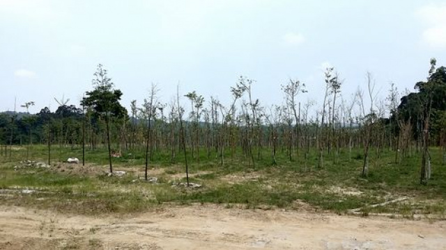 三灣沉香木休閒山坡地*-*成交快房屋