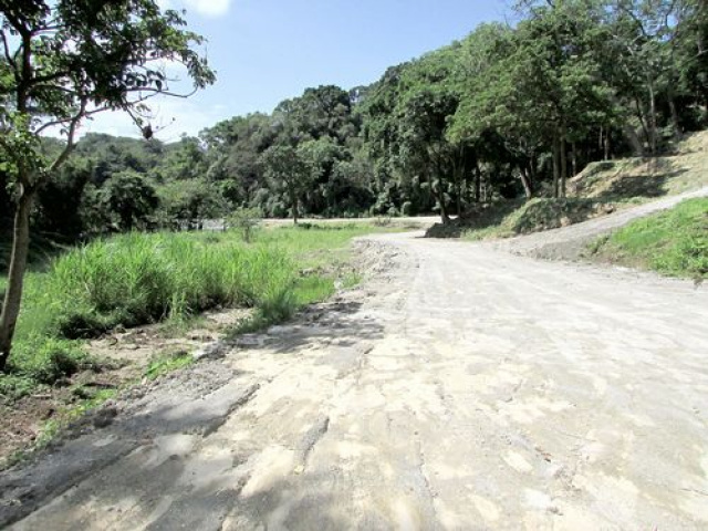三灣悠閒山坡地 +大坪數建地