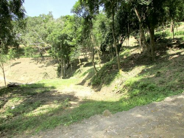 三灣悠閒山坡地 +大坪數建地