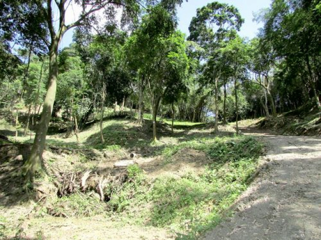 三灣悠閒山坡地 +大坪數建地