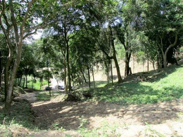 三灣悠閒山坡地 +大坪數建地