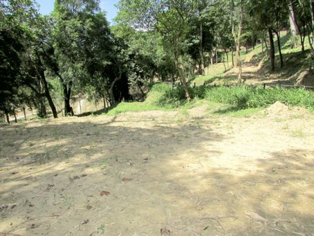 三灣悠閒山坡地 +大坪數建地
