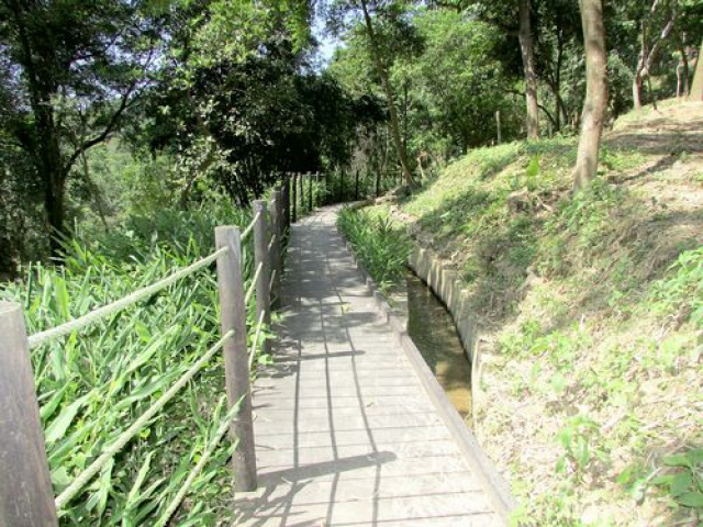 三灣悠閒山坡地 +大坪數建地