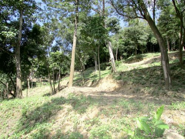 三灣悠閒山坡地 +大坪數建地