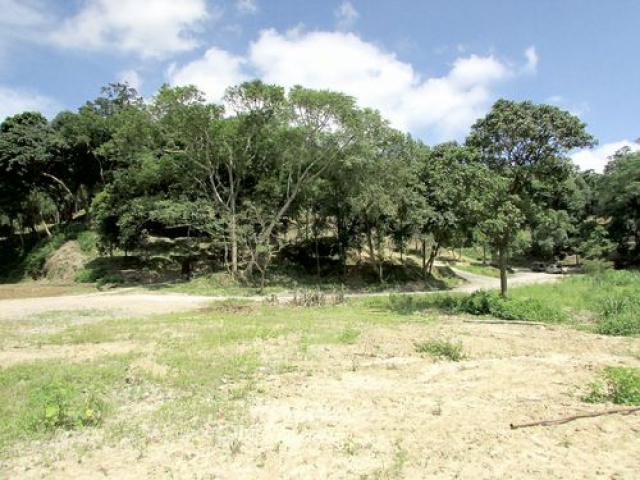 三灣悠閒山坡地 +大坪數建地