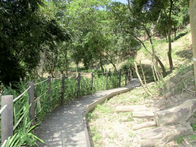 三灣悠閒山坡地 +大坪數建地