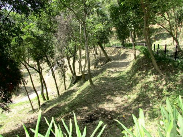 三灣悠閒山坡地 +大坪數建地