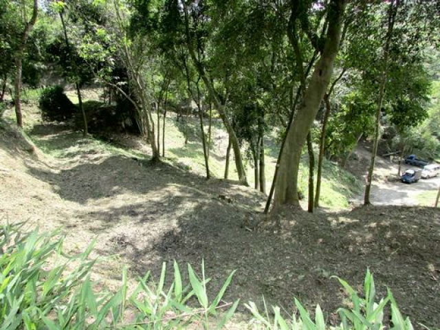 三灣悠閒山坡地 +大坪數建地