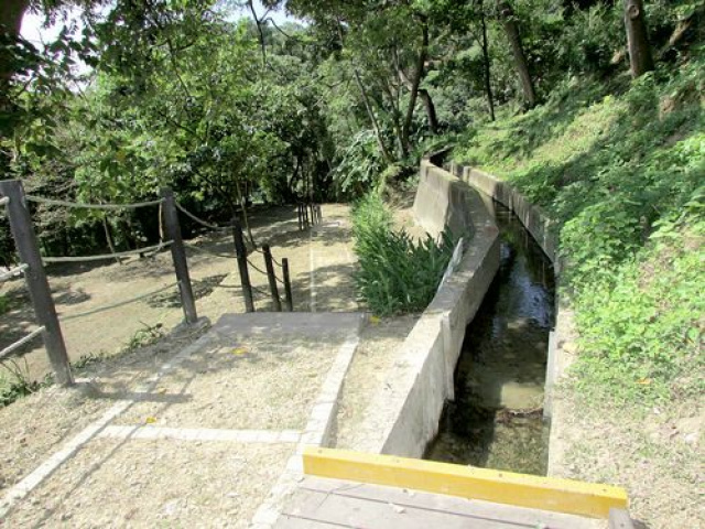 三灣悠閒山坡地 +大坪數建地