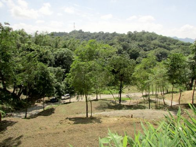 三灣悠閒山坡地 +大坪數建地