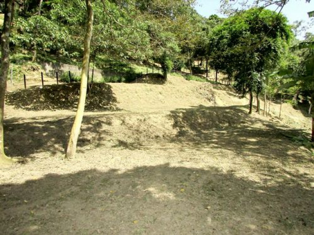 三灣悠閒山坡地 +大坪數建地
