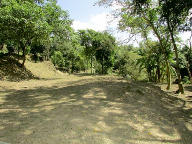 三灣悠閒山坡地 +大坪數建地