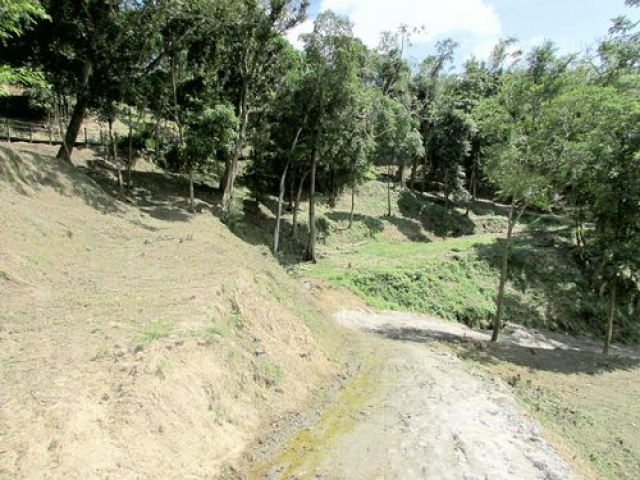 三灣悠閒山坡地 +大坪數建地