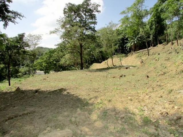 三灣悠閒山坡地 +大坪數建地
