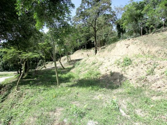 三灣悠閒山坡地 +大坪數建地