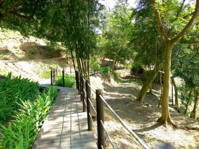 三灣悠閒山坡地 +大坪數建地