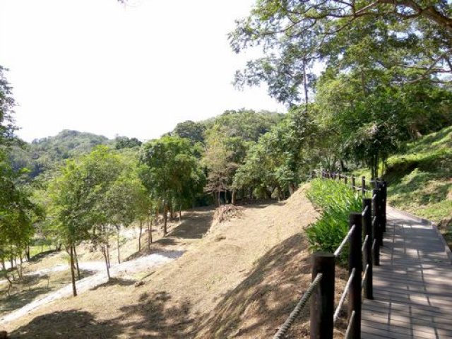 三灣悠閒山坡地 +大坪數建地