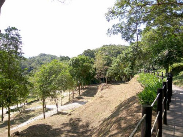 三灣悠閒山坡地 +大坪數建地