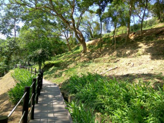 三灣悠閒山坡地 +大坪數建地